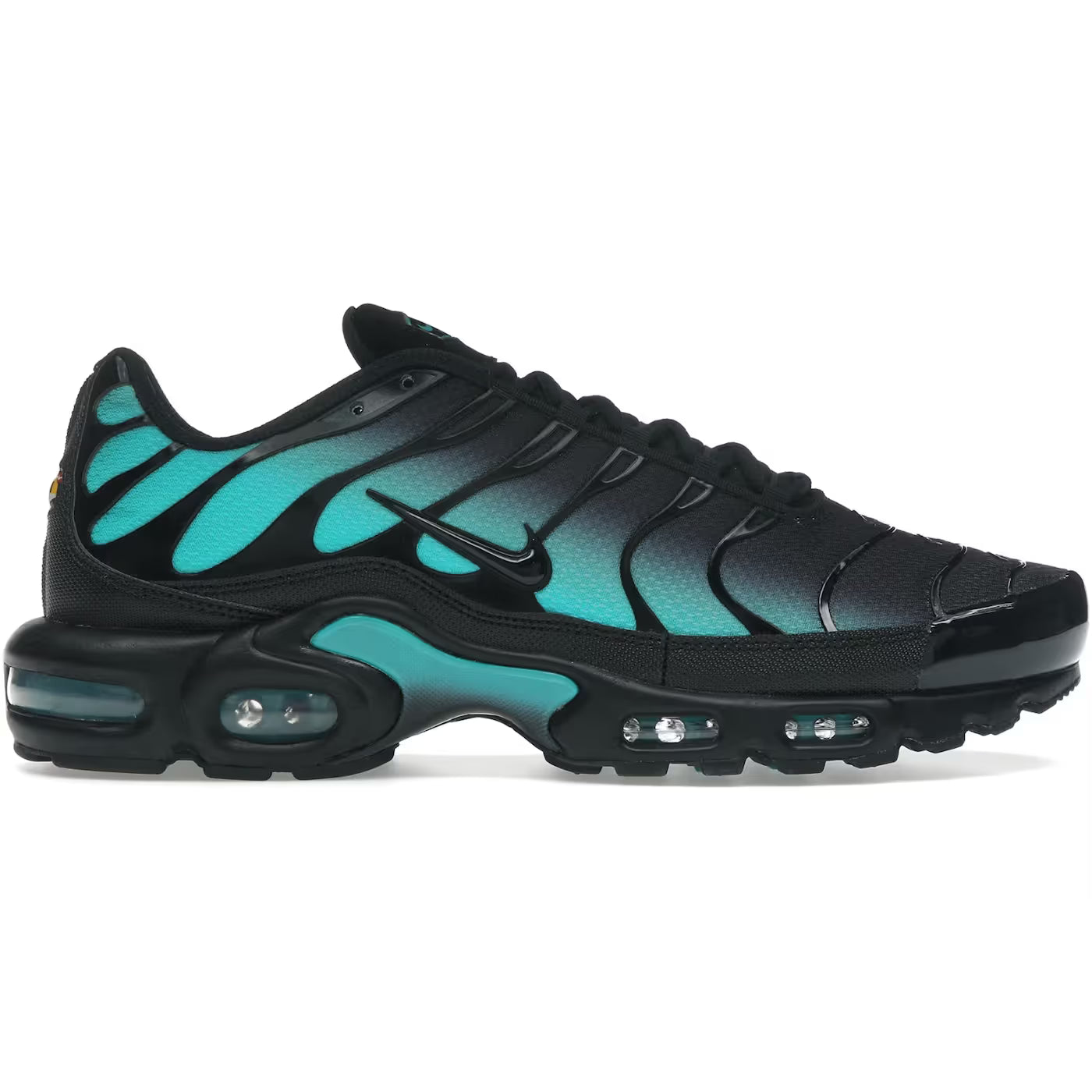 Nike Air Max Plus TN Black Dusty Cactus
